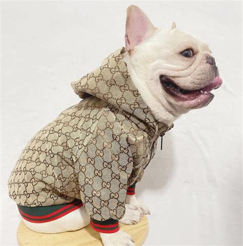 fake gucci dog clothes|designer clothes for small dogs.